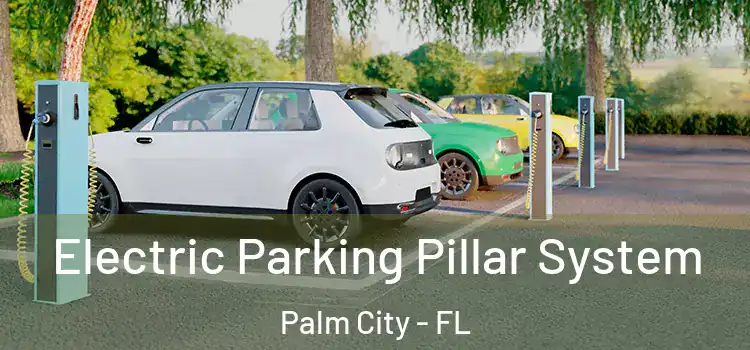 Electric Parking Pillar System Palm City - FL