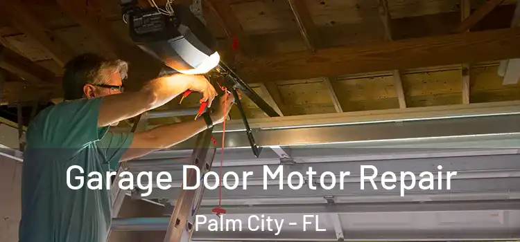  Garage Door Motor Repair Palm City - FL