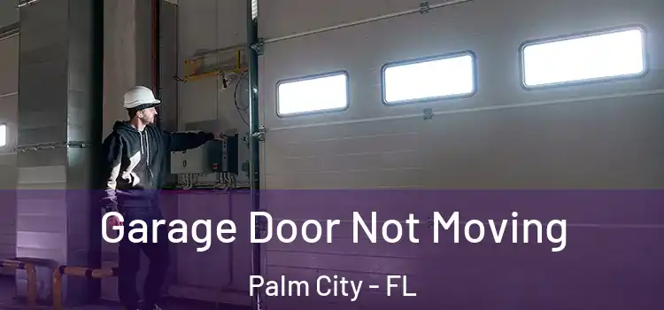  Garage Door Not Moving Palm City - FL