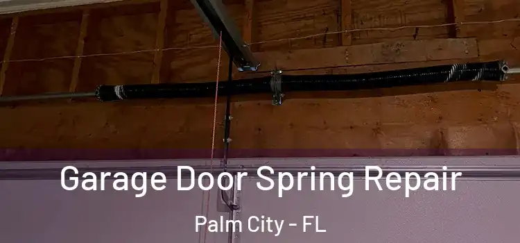  Garage Door Spring Repair Palm City - FL