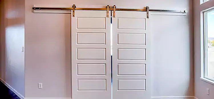 Glass Barn Door with Installation Hardware Kit Palm City