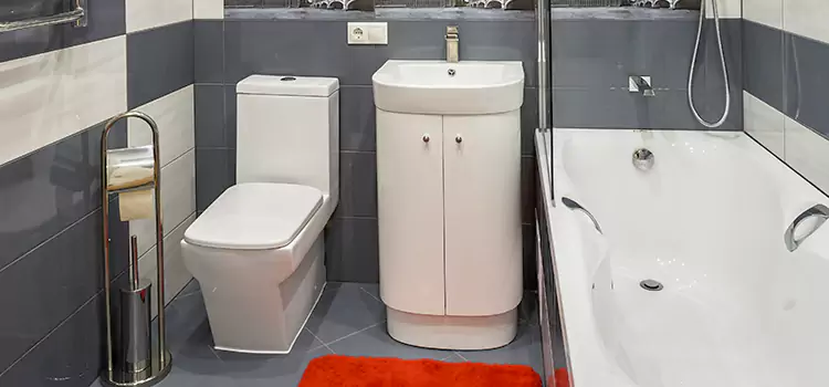 Hansgrohe Shaving Mirror Palm City