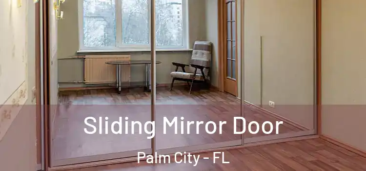  Sliding Mirror Door Palm City - FL